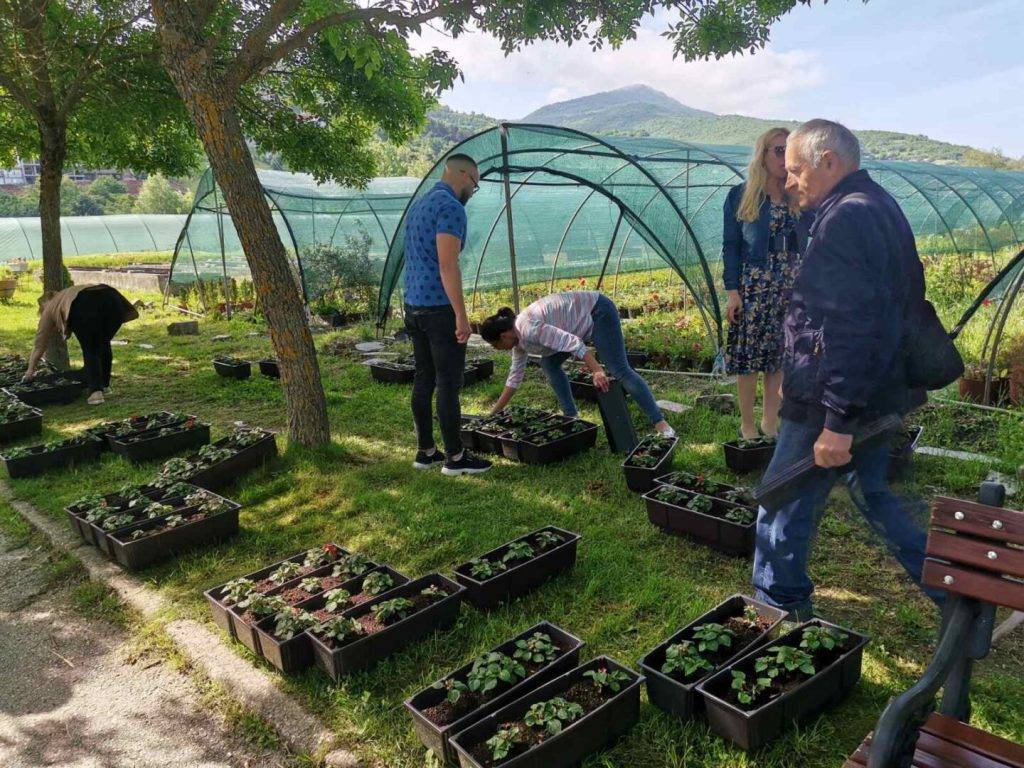 Заврши акцијата Цветни балкони