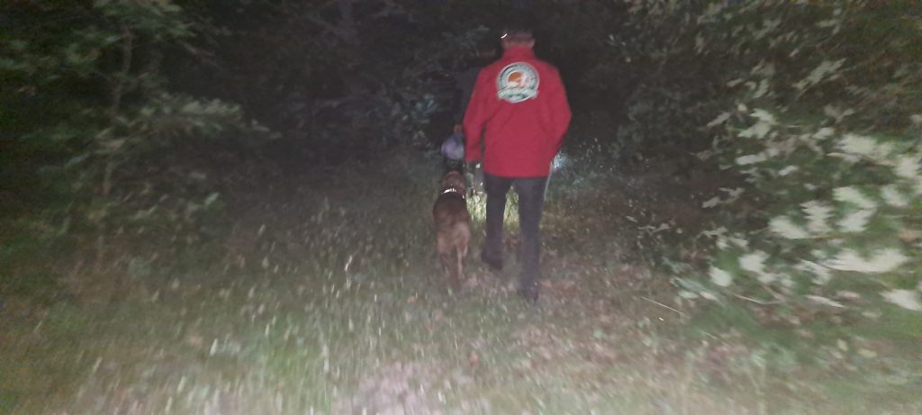 Загубена жена во Дебрца, додека собирала шумски плодови, спасена  со куче спасител  од ПСС