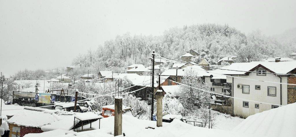 ФОТО: Куратица во бело снежно руво