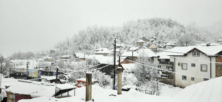 ФОТО: Куратица во бело снежно руво
