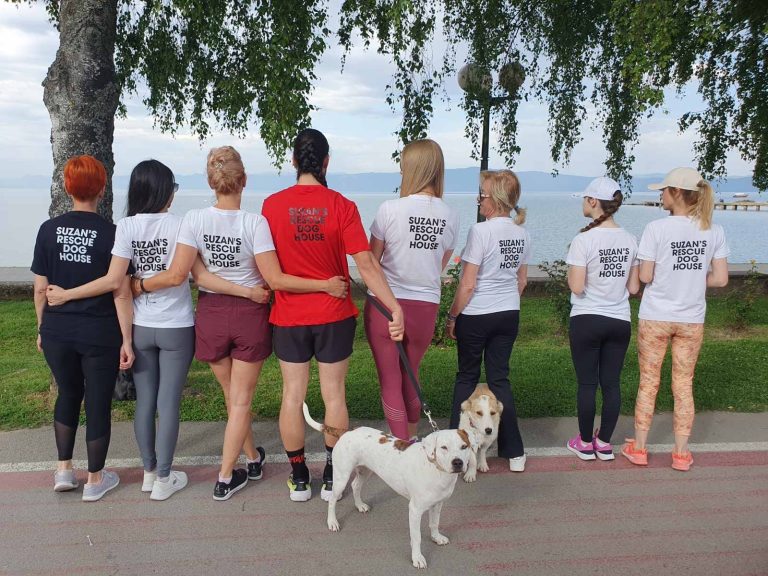 На Охрид ТрчаТ се трча и за бездомните кучиња