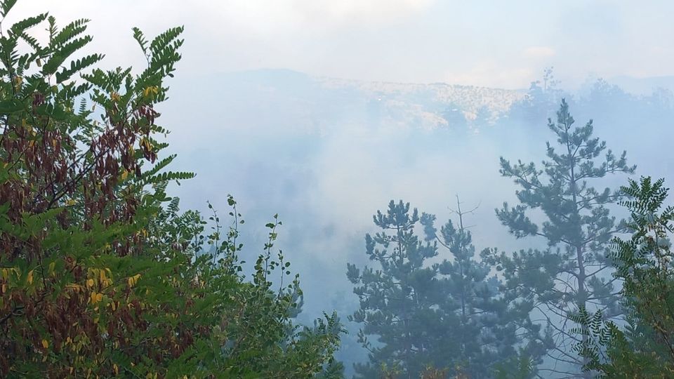 Пожар кај село Делогожда во непристапен терен