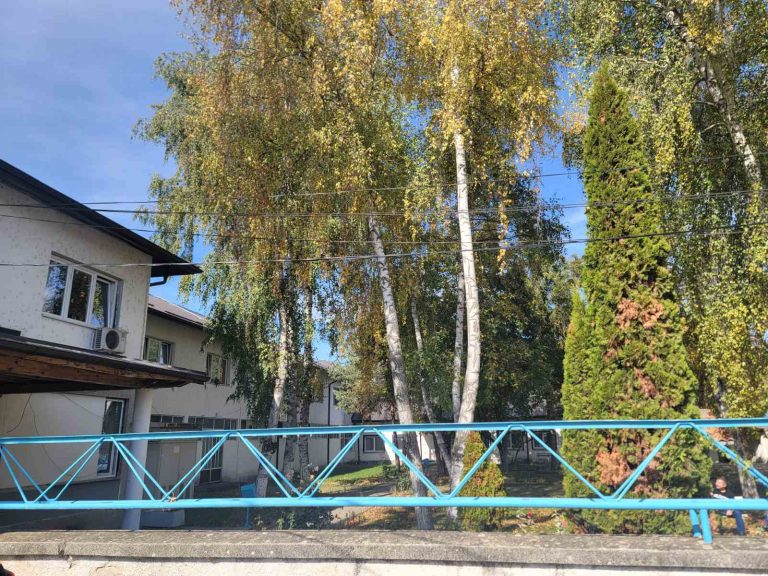 Во Теферич гласаа 3 затвореници, право на глас имаат 422 болни и немоќни