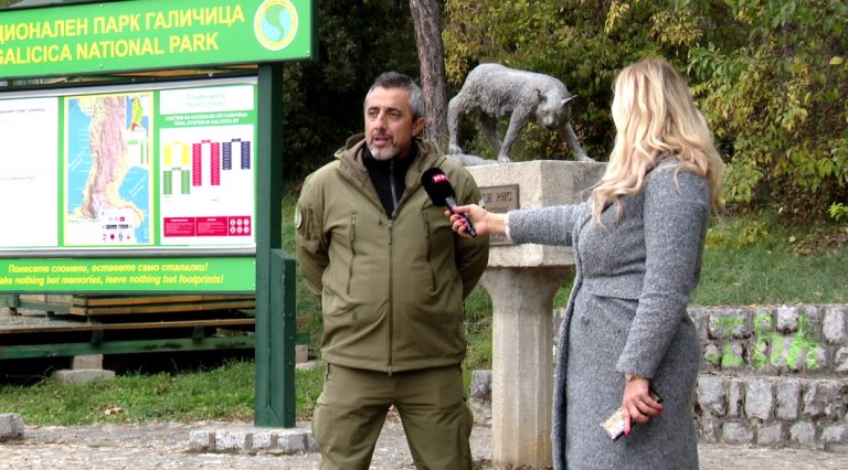 Потребна е национална стратегија за справување со пожарите