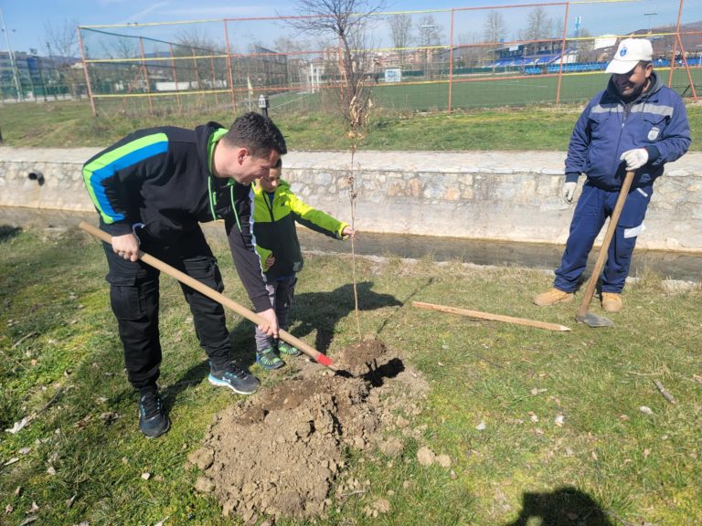 Засадени нови Чинари, зелена офанзива против загадувањето