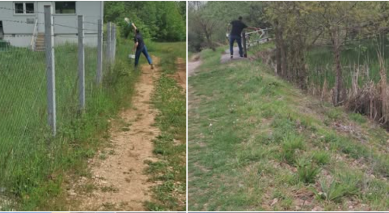 Десинсекција и дератизација во Вевчани
