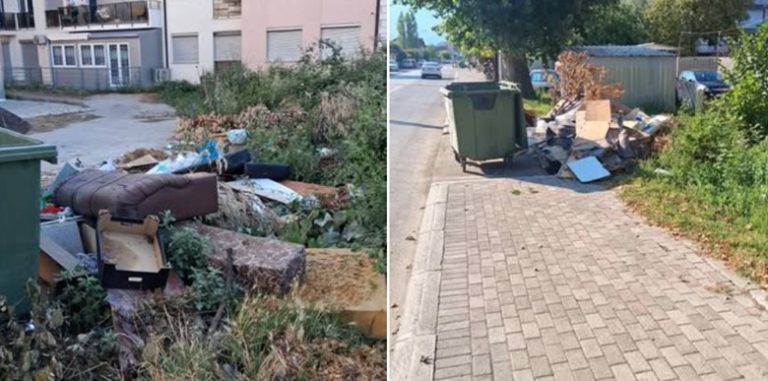 Мапирани девет диви депонии во Охрид, подигнати 48 кубни метри отпад