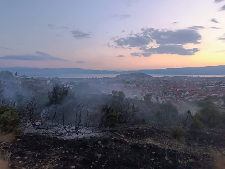 Спречена огнена стихија, пожарникарите апелираат на одговорно однесување