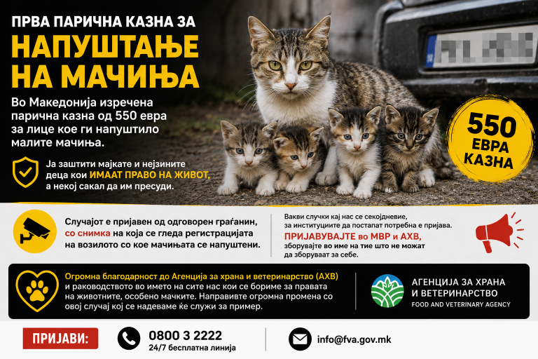 550 евра казна за напуштање на мачиња –прва во земјава