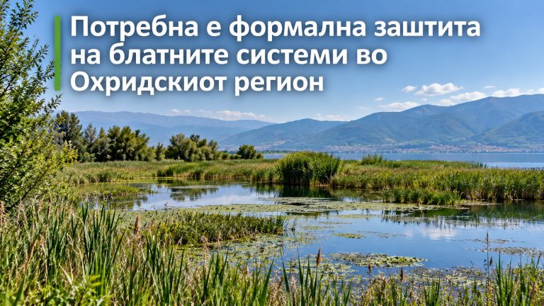 Потребна е формална заштита на блатните системи во Охридскиот регион